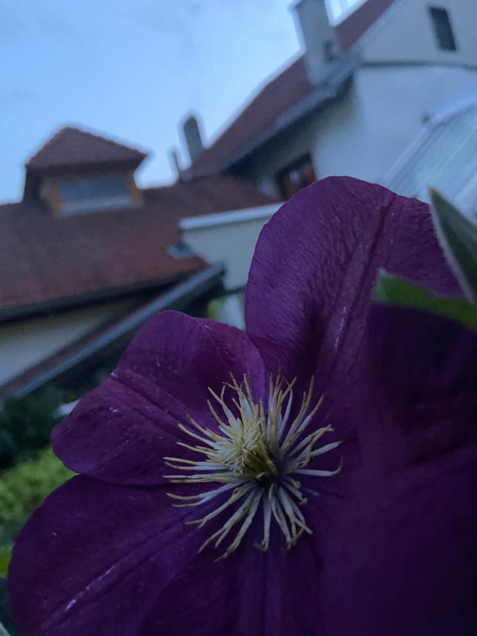 Gasthof Zum Mohrn Oberwoelz Stadt Esterno foto